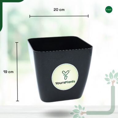 Siena Square Planters | Pack of 2 Black Pot