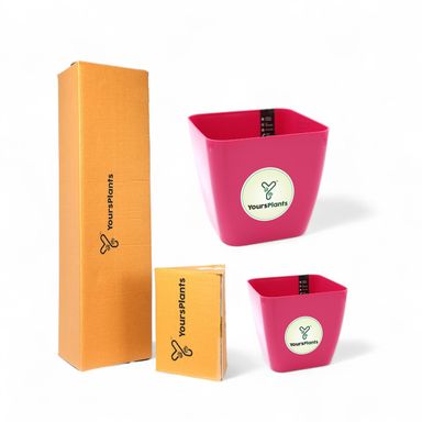 Siena Square Planters | Pack of 2 Pink Pot