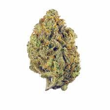 Lilac diesel  strain 