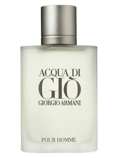 Giorgio Armani Acqua Di Gio EDT 100ml