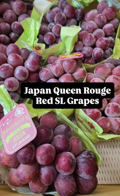 JPN NAGANO QUEEN ROUGE SL GRAPES