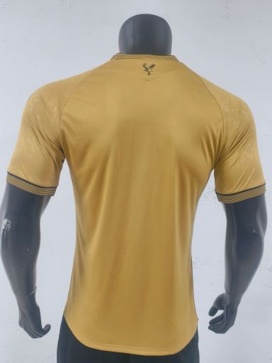 Crystal Palace  2025/26 Third Shirt (Gold / Black)