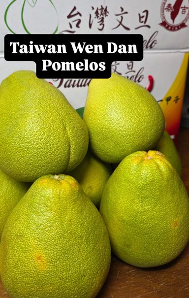 TAIWAN WEN DAN POMELO (文旦柚) 