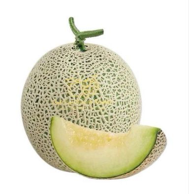 China Premium Musk Melon