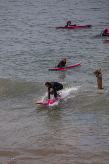 Surf Lessons For Beginners 