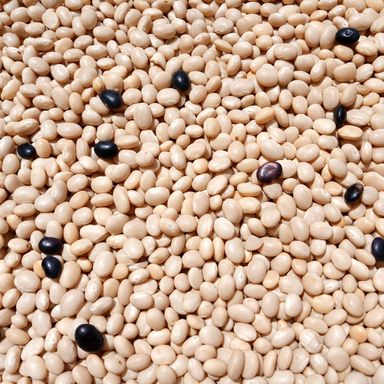  Cassoulet