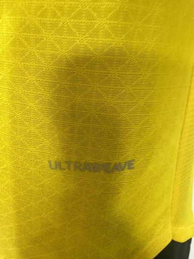 Borussia Dortmund 2025/26 Home shirt (Yellow / Black)