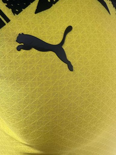 Borussia Dortmund 2025/26 Home shirt (Yellow / Black)
