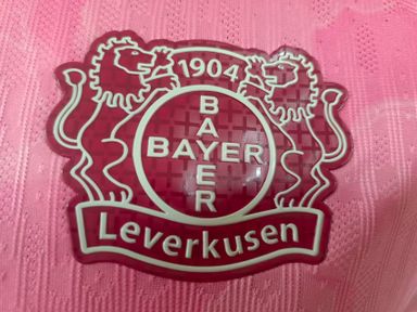 Bayer Leverkusen  2025/26 Away Shirt