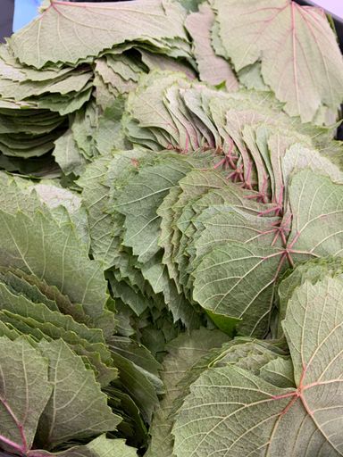 MPS47- feuilles de vigne ورق عنب/عريش