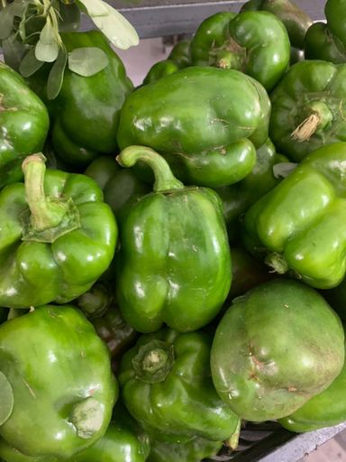 MPS50- Poivron Vert 1kg  فليفلة خضراء 