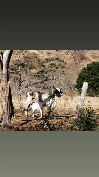 Horseback Riding Tour – 2 Hours
