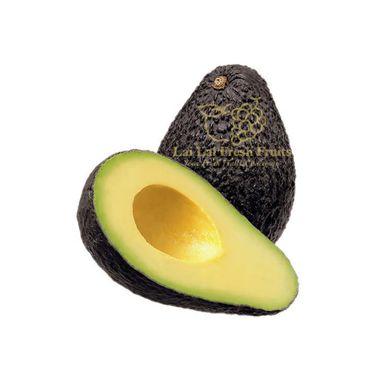 Mexico Periban Hass Avocado
