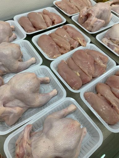 MPS59- Poulet frais divers sélectionner S’il vous plaît 