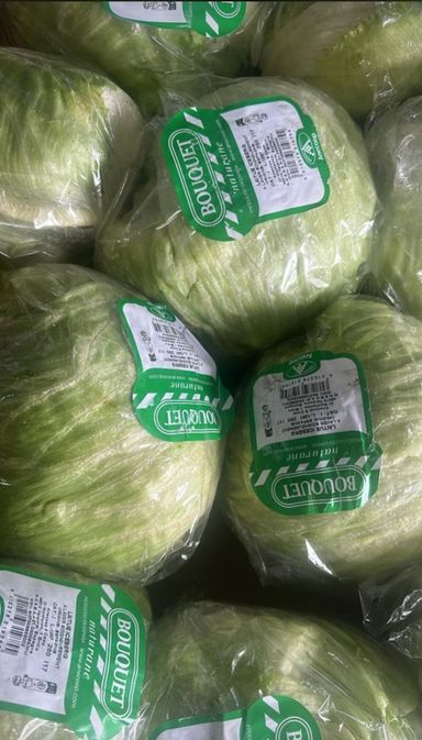 MPS62- iceberg  1 unit 