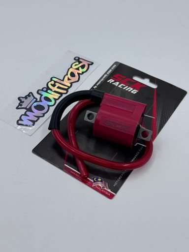 SCK plug coil FI / non-FI
