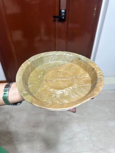 Cutlery  - Disposable Leaf plates / starter plate (8 inch) / quarter plate