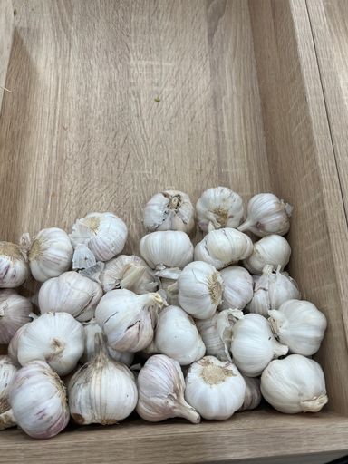 MPS68- Ail 1 kg Garlic ثوم