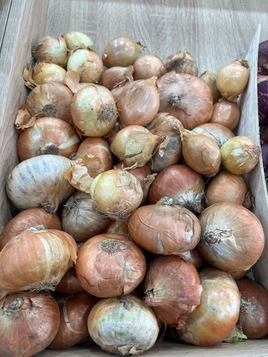 MPS69- onion White or violet 1kg ognon blanc ou violet 