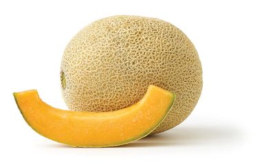 Cantaloupe Melon
