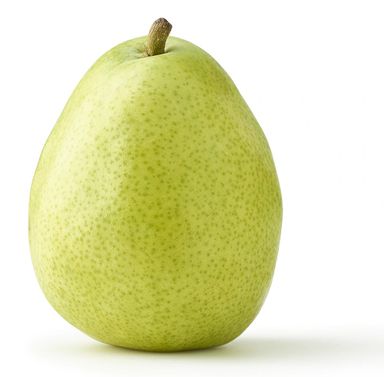 Large Danjou Pear