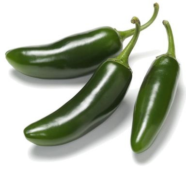 Jalapeno Pepper