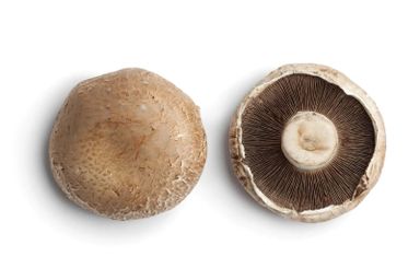 Portabella Mushroom 