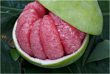 Pomelo, Red (Thap Tim Siam)