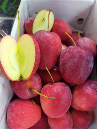 Apple, Princess