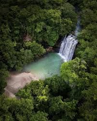 Llanos De Cortes Waterfall, plus Sloth Watching Tour