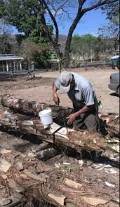 Coffee Experience Tour in Hojancha, plus a visit to Collera Nambi and the Colonial Church in Nicoya. 