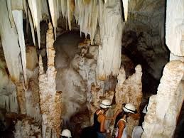 Barra Honda Caverns Tour 🦇🌿