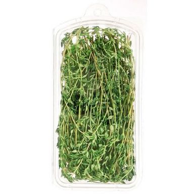 Thyme