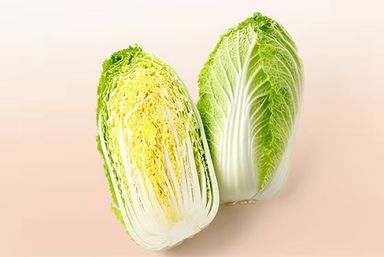 Nappa Cabbage