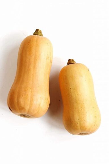 Butternut Squash