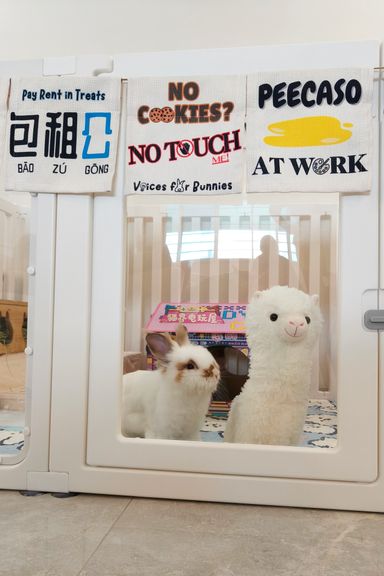 Pet Banners