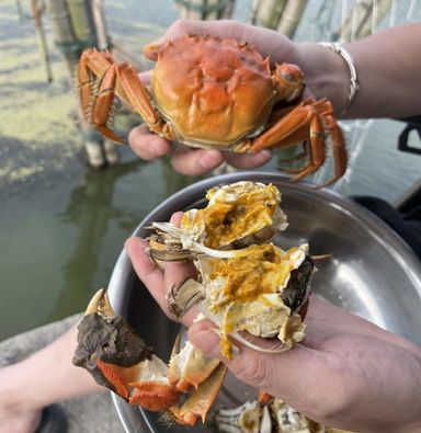 大闸蟹金秋套餐 2位  Golden Autumn Hairy Crab Set for 2