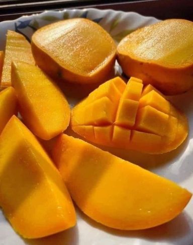 Mangos Edward 