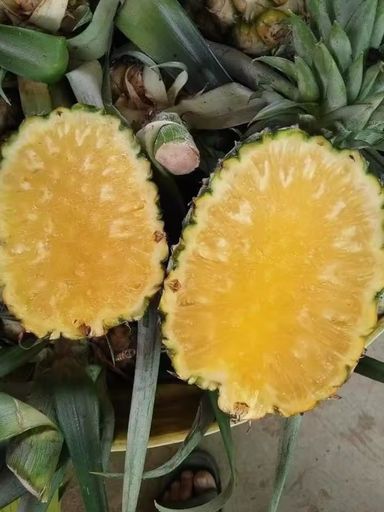 Huay Noon (Thai Honey Pineapple )