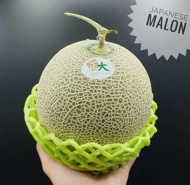 Japanese Melon (Green), Grown in Thailand