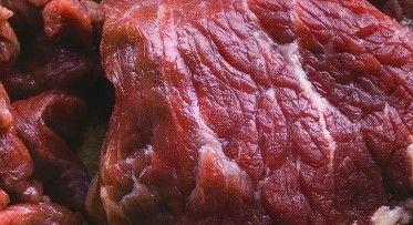 🥩⛩️ 放生还肉债 ⛩️🥩