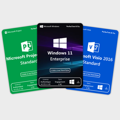 Windows 11 Enterprise + Microsoft Project 2016 Standard + Microsoft Visio 2016 Standard