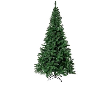 Christmas cedar tree,