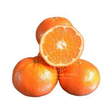 Australia Tangold Mandarin