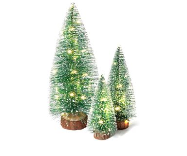 Miniature Christmas Trees,
