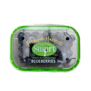 Australia Jumbo Blueberry