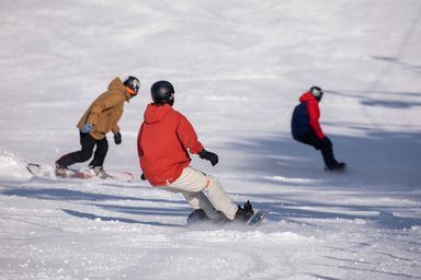 HIGH 1 PRIVATE SKI / SNOW BOARD LESSON