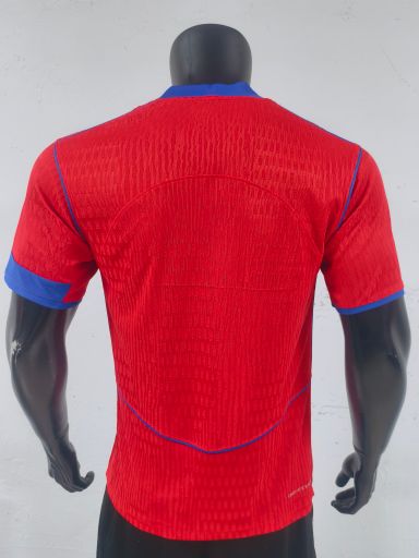 PSG 2025/25 Third Shirt (Red / Red / Blue)