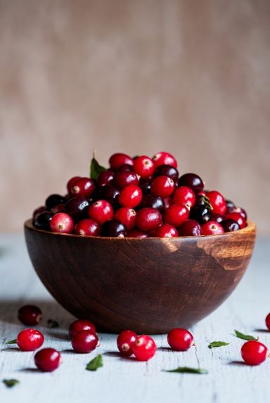 2 oz Bag (a snack) - TURKEY: CRANBERRY