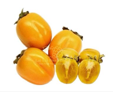 Japan Tottori Persimmon